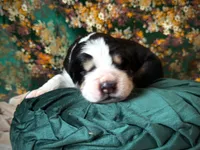 processed/9efc2ea0-c657-47aa-b891-65d4bb6c0312/listing/3e2f93f4-3f52-4e8c-bb44-a8b6620e96ee/6394e1be-6eab-45f8-8016-8fc88af3cad4