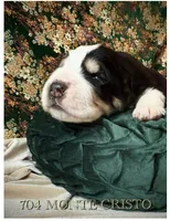 processed/9efc2ea0-c657-47aa-b891-65d4bb6c0312/listing/3e2f93f4-3f52-4e8c-bb44-a8b6620e96ee/cdbf03b4-20fd-4b47-b65e-7430d68b93b5