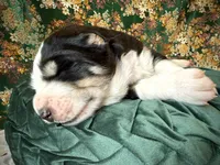 processed/9efc2ea0-c657-47aa-b891-65d4bb6c0312/listing/4080e922-d79f-448c-92fb-2e5228dcd69c/11b4dec8-5b08-4075-b17a-28d2e3f50043