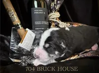 processed/9efc2ea0-c657-47aa-b891-65d4bb6c0312/listing/4080e922-d79f-448c-92fb-2e5228dcd69c/9935677c-f889-4079-955c-aaacabd066eb