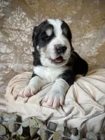 processed/9efc2ea0-c657-47aa-b891-65d4bb6c0312/listing/4080e922-d79f-448c-92fb-2e5228dcd69c/9eba1b97-3c59-47fe-ba81-397e99b40e12