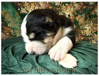 processed/9efc2ea0-c657-47aa-b891-65d4bb6c0312/listing/4080e922-d79f-448c-92fb-2e5228dcd69c/b8070ca1-656c-4102-9067-fe98ec4c8648