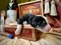 processed/9efc2ea0-c657-47aa-b891-65d4bb6c0312/listing/4080e922-d79f-448c-92fb-2e5228dcd69c/f6524129-7c96-424e-a7ca-ca850acb6112