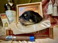 processed/9efc2ea0-c657-47aa-b891-65d4bb6c0312/listing/42a238c9-bfa0-4195-ab66-5658e08e8e15/0e9d4471-6319-4f7b-9595-efcc619f463f