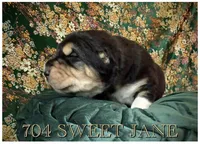 processed/9efc2ea0-c657-47aa-b891-65d4bb6c0312/listing/42a238c9-bfa0-4195-ab66-5658e08e8e15/2b38b3ec-60f2-406e-9612-b40f4a3e4f4f