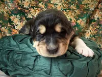 processed/9efc2ea0-c657-47aa-b891-65d4bb6c0312/listing/42a238c9-bfa0-4195-ab66-5658e08e8e15/89057b85-86e1-40ef-b925-941dc63b34f4