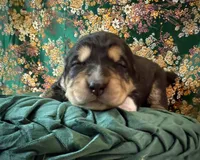 processed/9efc2ea0-c657-47aa-b891-65d4bb6c0312/listing/42a238c9-bfa0-4195-ab66-5658e08e8e15/8db20e0b-b2ce-46bb-a865-ce4bfc8677d6