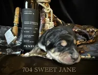 processed/9efc2ea0-c657-47aa-b891-65d4bb6c0312/listing/42a238c9-bfa0-4195-ab66-5658e08e8e15/bcf3d55a-f31a-4422-9d8b-0e4523b79f7b