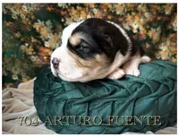 processed/9efc2ea0-c657-47aa-b891-65d4bb6c0312/listing/44824cd6-42f3-47e3-afe1-ad88780f7dc2/0310e317-9357-43f5-bc3e-e781eaf42979