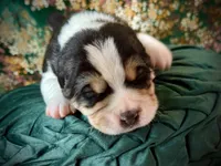 processed/9efc2ea0-c657-47aa-b891-65d4bb6c0312/listing/44824cd6-42f3-47e3-afe1-ad88780f7dc2/76060702-60b6-436d-82b4-4938caea8ecc