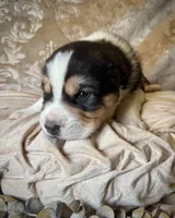 processed/9efc2ea0-c657-47aa-b891-65d4bb6c0312/listing/44824cd6-42f3-47e3-afe1-ad88780f7dc2/a899f112-2eb1-4aeb-a387-f52b312e7ad7