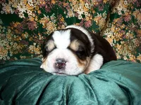 processed/9efc2ea0-c657-47aa-b891-65d4bb6c0312/listing/44824cd6-42f3-47e3-afe1-ad88780f7dc2/aa203c64-820c-40ef-aade-bee3424a64ed