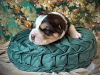 processed/9efc2ea0-c657-47aa-b891-65d4bb6c0312/listing/44824cd6-42f3-47e3-afe1-ad88780f7dc2/d32b4935-5b1e-4c56-bf30-a9f8b8d99288