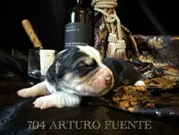 processed/9efc2ea0-c657-47aa-b891-65d4bb6c0312/listing/44824cd6-42f3-47e3-afe1-ad88780f7dc2/fe9a84fd-54a3-4d0a-9906-04767644772e