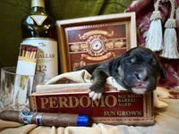 processed/9efc2ea0-c657-47aa-b891-65d4bb6c0312/listing/4842751b-4e87-40c1-a76e-3d24ed6ab8c7/1ffa6838-8bfb-4fe0-b350-cf875a093571