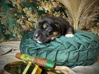 processed/9efc2ea0-c657-47aa-b891-65d4bb6c0312/listing/4842751b-4e87-40c1-a76e-3d24ed6ab8c7/57871c1c-cff9-44f5-ad69-c0dcc7aaedec