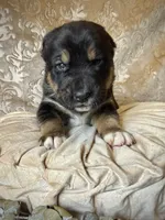 processed/9efc2ea0-c657-47aa-b891-65d4bb6c0312/listing/4842751b-4e87-40c1-a76e-3d24ed6ab8c7/595db5b2-89c1-4903-bd4d-2ea013882737