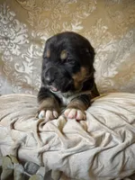 processed/9efc2ea0-c657-47aa-b891-65d4bb6c0312/listing/4842751b-4e87-40c1-a76e-3d24ed6ab8c7/6e981c7e-518f-45a7-8c60-fdf3d84ac00d