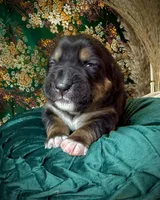 processed/9efc2ea0-c657-47aa-b891-65d4bb6c0312/listing/4842751b-4e87-40c1-a76e-3d24ed6ab8c7/88dfa7a7-3293-453b-9039-c1d54eae056e