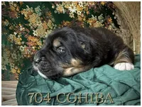 processed/9efc2ea0-c657-47aa-b891-65d4bb6c0312/listing/4842751b-4e87-40c1-a76e-3d24ed6ab8c7/8f23a33e-9b04-4271-93fb-7c22e8c3d025