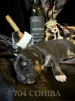 processed/9efc2ea0-c657-47aa-b891-65d4bb6c0312/listing/4842751b-4e87-40c1-a76e-3d24ed6ab8c7/fa376d80-6b0d-4994-81a6-d9be74ebf901