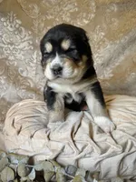 processed/9efc2ea0-c657-47aa-b891-65d4bb6c0312/listing/61dc1a31-758c-42a8-8d43-7ce4215e069c/1aed8252-5a9a-472f-abe0-0c27a4221989