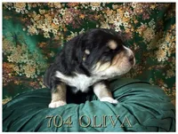 processed/9efc2ea0-c657-47aa-b891-65d4bb6c0312/listing/61dc1a31-758c-42a8-8d43-7ce4215e069c/92a150e9-d0b5-454d-8fb1-35f24161269c