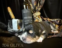 processed/9efc2ea0-c657-47aa-b891-65d4bb6c0312/listing/61dc1a31-758c-42a8-8d43-7ce4215e069c/c29e48ea-3d64-4b2b-bb5c-d3fd86ac3e27