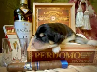 processed/9efc2ea0-c657-47aa-b891-65d4bb6c0312/listing/61dc1a31-758c-42a8-8d43-7ce4215e069c/c65ce711-5e76-4026-8cfc-67f6a69e8f70