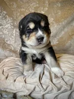 processed/9efc2ea0-c657-47aa-b891-65d4bb6c0312/listing/61dc1a31-758c-42a8-8d43-7ce4215e069c/cef57248-faaf-4bc2-b96b-34be67362472