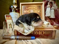 processed/9efc2ea0-c657-47aa-b891-65d4bb6c0312/listing/61dc1a31-758c-42a8-8d43-7ce4215e069c/df629f70-967d-4049-911f-b9835ad2d1b0