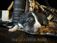 processed/9efc2ea0-c657-47aa-b891-65d4bb6c0312/listing/6d139d6b-1602-40f5-96a3-00dc8eece364/0f3927c0-e400-49e9-b1ae-f854b254bdd1