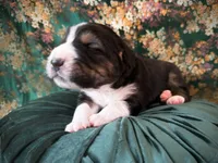 processed/9efc2ea0-c657-47aa-b891-65d4bb6c0312/listing/6d139d6b-1602-40f5-96a3-00dc8eece364/4ff0cb7e-08ae-4def-b10b-15d9b5ccf1dc