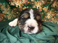 processed/9efc2ea0-c657-47aa-b891-65d4bb6c0312/listing/6d139d6b-1602-40f5-96a3-00dc8eece364/52f45247-73e5-4ffd-888c-4c6878d89981