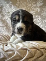 processed/9efc2ea0-c657-47aa-b891-65d4bb6c0312/listing/6d139d6b-1602-40f5-96a3-00dc8eece364/536a2278-73a1-42e1-897e-c5bf1fb31161