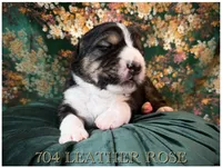 processed/9efc2ea0-c657-47aa-b891-65d4bb6c0312/listing/6d139d6b-1602-40f5-96a3-00dc8eece364/587ec90e-64d6-4b5a-aca2-f5fc38a53543