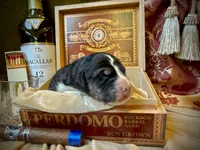 processed/9efc2ea0-c657-47aa-b891-65d4bb6c0312/listing/6d139d6b-1602-40f5-96a3-00dc8eece364/5d40825c-0fb3-4ddc-a116-ace7fe7da95a