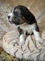 processed/9efc2ea0-c657-47aa-b891-65d4bb6c0312/listing/6d139d6b-1602-40f5-96a3-00dc8eece364/d1f9c2e0-a482-4af8-b311-aaf82f4bc148