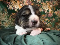 processed/9efc2ea0-c657-47aa-b891-65d4bb6c0312/listing/6d139d6b-1602-40f5-96a3-00dc8eece364/e78fd2fa-ab44-451a-8eb2-f7f64d7cabb6