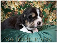 processed/9efc2ea0-c657-47aa-b891-65d4bb6c0312/listing/c79b3a24-9b27-4258-bb72-d04e7bd9a3aa/143b929a-52a5-4264-9450-fb4dd1d8bc50