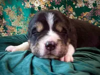 processed/9efc2ea0-c657-47aa-b891-65d4bb6c0312/listing/c79b3a24-9b27-4258-bb72-d04e7bd9a3aa/29cbc10c-4559-4f69-bc95-97715edc2c37