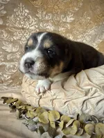 processed/9efc2ea0-c657-47aa-b891-65d4bb6c0312/listing/c79b3a24-9b27-4258-bb72-d04e7bd9a3aa/354fa913-25a7-461d-aefc-c173151f18bc