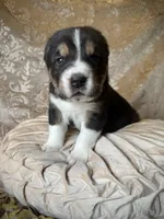 processed/9efc2ea0-c657-47aa-b891-65d4bb6c0312/listing/c79b3a24-9b27-4258-bb72-d04e7bd9a3aa/6c5ab096-2d1f-40d7-9055-06a554e577a7