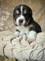 processed/9efc2ea0-c657-47aa-b891-65d4bb6c0312/listing/c79b3a24-9b27-4258-bb72-d04e7bd9a3aa/b630adc5-9c2a-479f-957b-d3bcdca73eb8