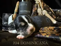 processed/9efc2ea0-c657-47aa-b891-65d4bb6c0312/listing/c79b3a24-9b27-4258-bb72-d04e7bd9a3aa/ce70325b-ac5b-454f-a1d3-23e3ee10e3b6