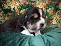 processed/9efc2ea0-c657-47aa-b891-65d4bb6c0312/listing/c79b3a24-9b27-4258-bb72-d04e7bd9a3aa/fd5a8b68-58ec-48fd-8af3-8efeb28e807f