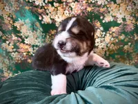 processed/9efc2ea0-c657-47aa-b891-65d4bb6c0312/listing/c79b3a24-9b27-4258-bb72-d04e7bd9a3aa/ff428d80-e17b-4c37-a13e-1d085b77c4f9