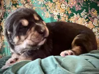 processed/9efc2ea0-c657-47aa-b891-65d4bb6c0312/listing/f3ee80aa-3afb-43a0-a1c3-e35760e26698/1bbcf47a-6c8a-4169-9ffd-e217cee1fe9e