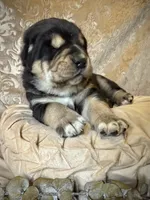 processed/9efc2ea0-c657-47aa-b891-65d4bb6c0312/listing/f3ee80aa-3afb-43a0-a1c3-e35760e26698/4b24a127-d894-4568-92ac-02856b9c9cf2