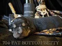 processed/9efc2ea0-c657-47aa-b891-65d4bb6c0312/listing/f3ee80aa-3afb-43a0-a1c3-e35760e26698/500b0acf-c3d9-435c-9776-0b3d01a97d9a